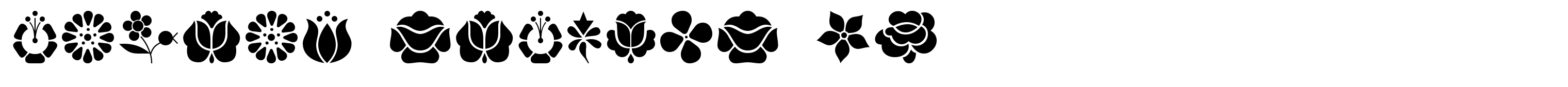 Magyar Symbols Pi